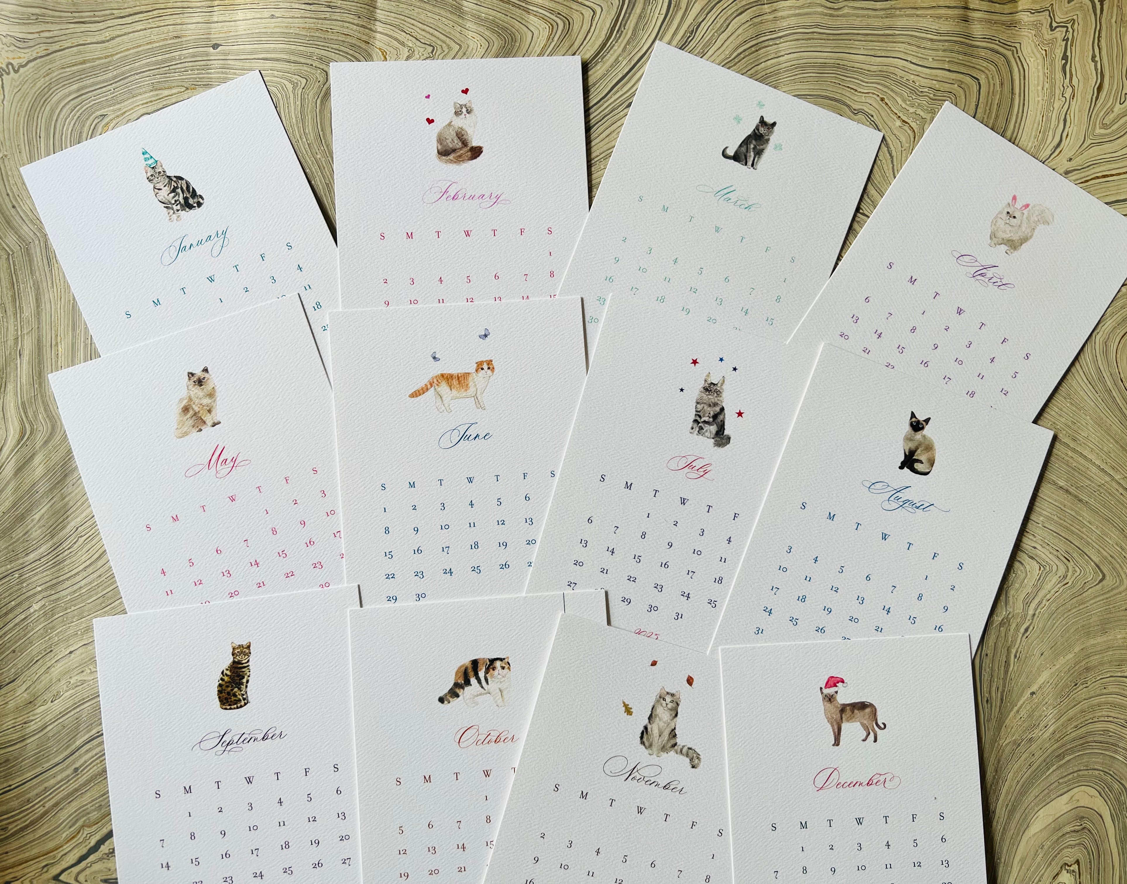 2025 Cat Lover's Calendar Refill - Sold Out